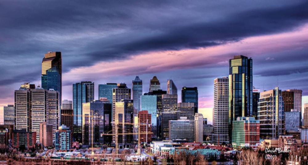 فندق بست ويسترن إن المطار YYC المرافق الصورة